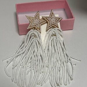 Earrings. Never worn